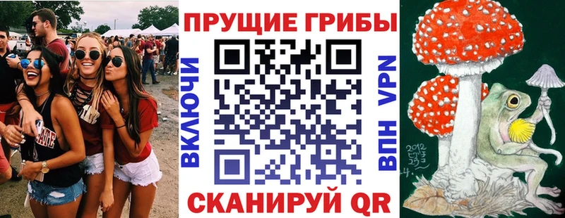 где купить Новоалександровск Псилоцибиновые грибы прущие грибы