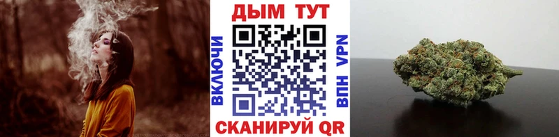 Шишки марихуана индика  Новоалександровск 